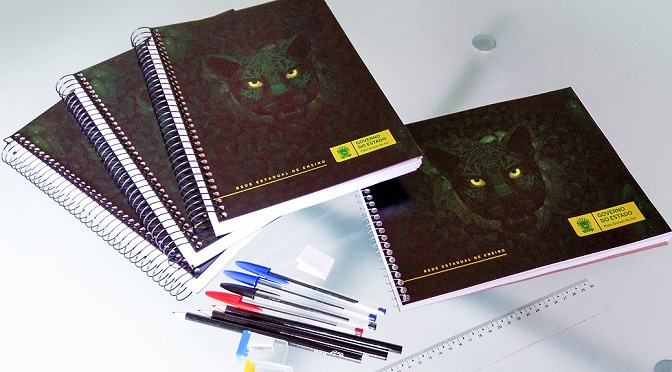 Para 2018, o Governo do Estado adquiriu 290 mil kits escolares, apropriados para cada etapa de ensino / Foto: Divulgação