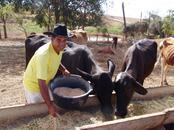 População residente rural é 15% do total da população brasileira