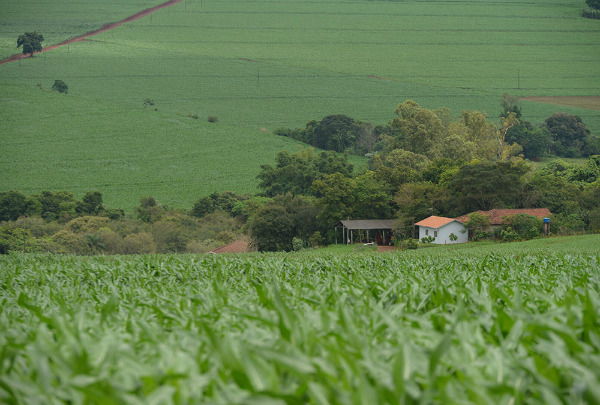 Cadastro Ambiental Rural será exigido por bancos a partir de junho Foto: Divulgação