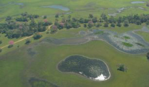 Pantanal contribui para o Modelo Climático Global