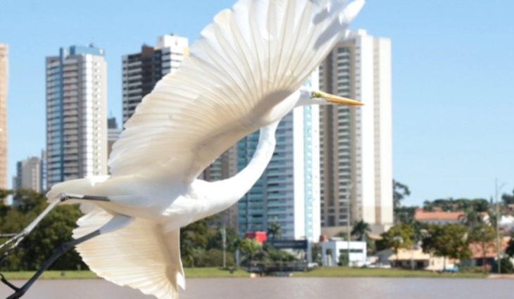 Tempo aberto se mantém nesta quarta-feira; chuvas retornam em dezembro Foto: Arquivo Subcom