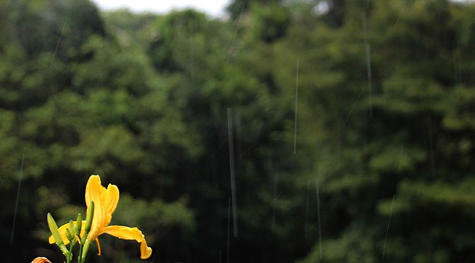 Foto: Chico Ribeiro