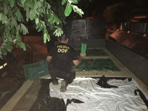 Policial do DOF retira da carroceria do caminhão um tablete da carta de 2,6 toneladas de maconhaFoto: Divulgação