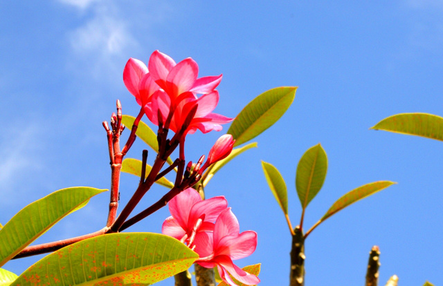 Temperatura amena no sudeste de Mato Grosso do Sul