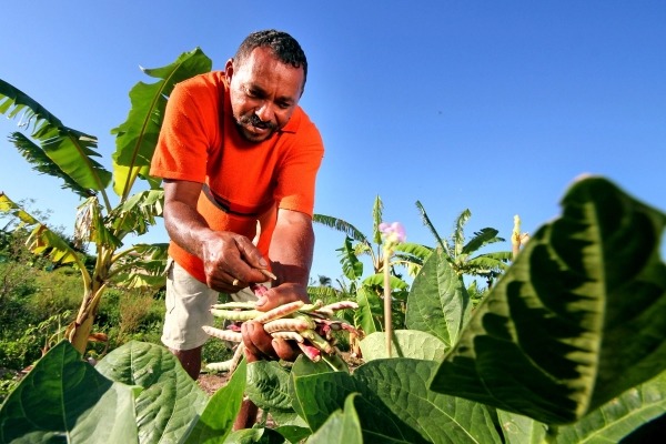 Senado aprova projeto que facilita acesso do produtor rural ao crédito Foto: Divulgação