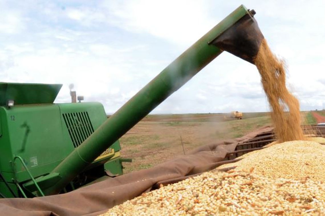 IBGE prevê safra de grãos 1,7% maior no próximo ano IBGE prevê safra de grãos 1,7% maior no próximo ano