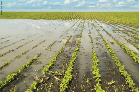 Novo ciclo deverá ter aumento na safra de grãos Clima foi um dos principais responsáveis pela queda na produtividade nas lavouras mato-grossensesFoto: Divulgação