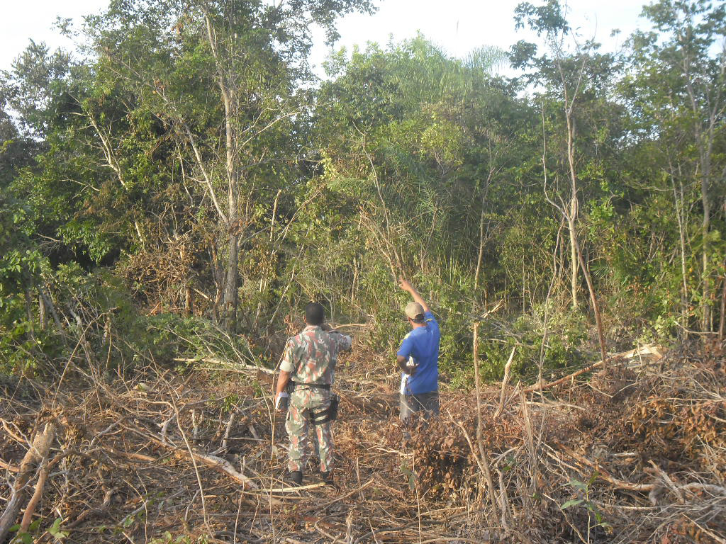 PMA autua arrendatário de fazenda por desmatamento ilegal