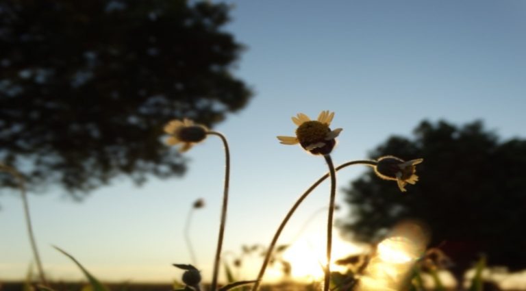Como fica o tempo no fim de semana? Foto: Monica Alves