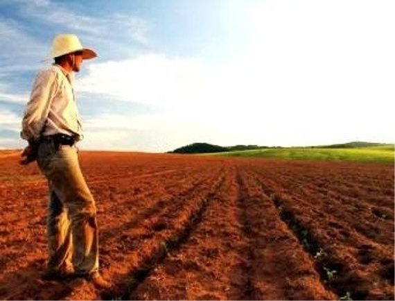 6 de Dezembro - Dia Nacional do Extensionista Rural