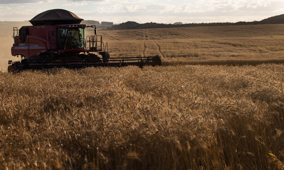 Ipea prevê menor crescimento do agronegócio em 2021 © CNA/ Wenderson Araujo/Trlux
