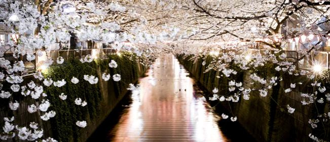 O Japão que você deve conhecer O Japão que você deve conhecer
