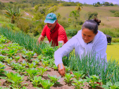 Para dar conta de uma população mundial estimada em 9,6 bilhões de pessoas, em 2050, a produção de alimentos teria que aumentar 60%.  Foto: Divulgação