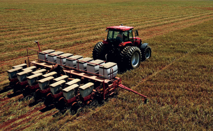 Produtores aceleram plantio de soja em MS e área semeada chega a 28,7% Produtores aceleram plantio de soja em MS e área semeada chega a 28,7%