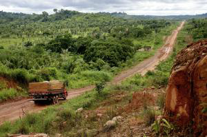 De acordo com o Serviço Florestal Brasileiro, objetivo é ordenar a atividade madeireira e promover economia florestal sustentável (Paulo Santos/2005/Amazônia Sob Pressão)