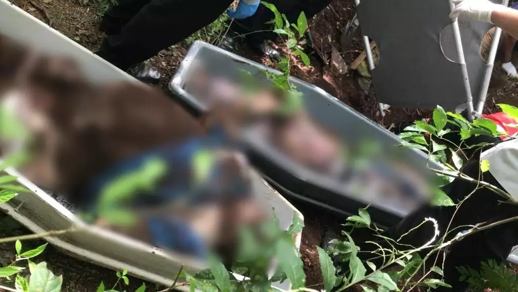 Sobrinhos de Fahd Jamil estão entre 4 corpos encontrados em cova rasa Os quatro corpos foram encontrados em cova rasa nesta quinta-feira (Foto: Capitán Bado.com)