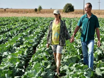 Dourados construirá 200 casas para agricultores familiares Dourados construirá 200 casas para agricultores familiares