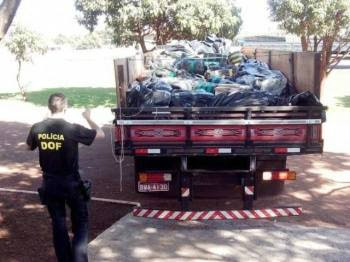 DOF apreende caminhão com aproximadamente 7 toneladas de maconha na MS 164