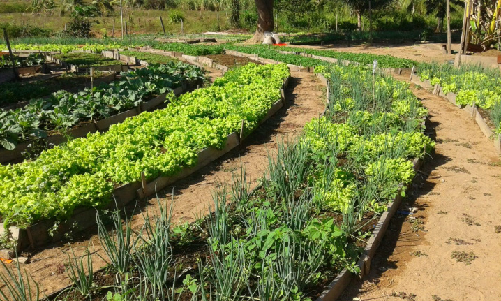 Brasil e Reino Unido fecham acordo de projeto rural sustentável