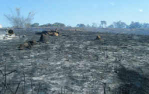Focos de incêndio diminuem 40% entre 2012 e 2013 De acordo com Inpe, essa diminuição ocorreu por causa das chuvas que caíram no final do ano
