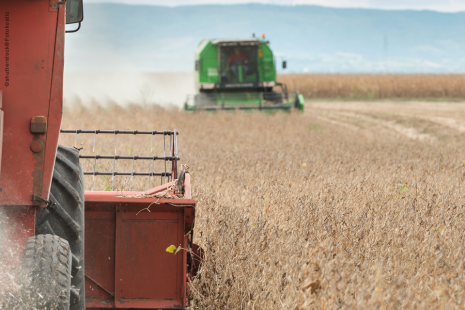 Agricultura terá bons resultados em 2017 Foto: Divulgação
