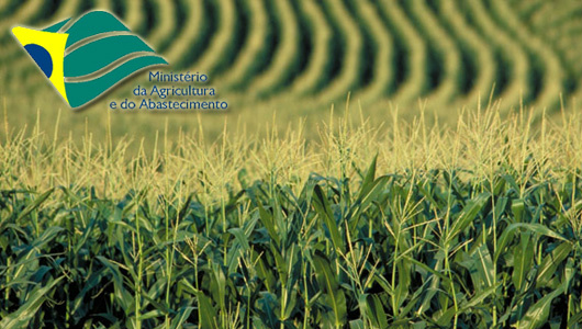 Mapa assina dois novos contratos no total de R$ 363 milhões