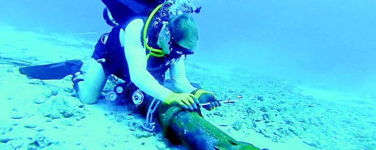 Cabo submarino que liga Brasil e EUA é finalizado: R$ 1,6 bilhão Foto: Divulgação