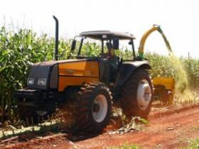 Produção de MS deve render 19,7% mais