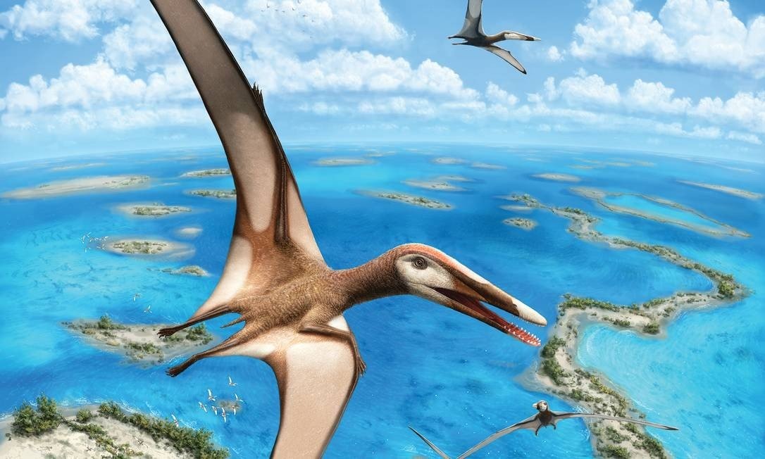 Brasileiro participa da descoberta de nova espécie de réptil voador Ilustração do 'Mimodactylus libanensis': pterossauro se alimentava de crustáceos Foto: Divulgação/Julius T. Csotonyi