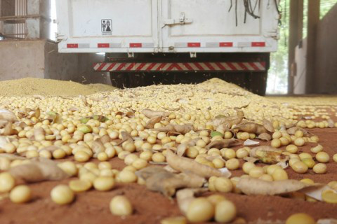 MS aumenta volume de exportação mas receita cai, aponta Mdic Foto: Ascom Famasul