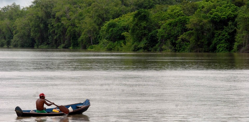 Fundo Clima tem dez subprogramas, entre eles um dedicado a florestas nativas - Foto: Arquivo/Agência Brasil