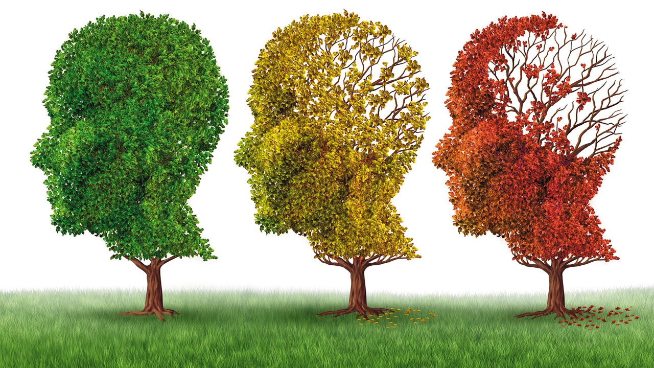 Alzheimer afeta 11,5% da população idosa brasileira Ilustração: Cilene Pereira