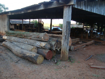 Polícia Ambiental fecha serraria em Aral Moreira
