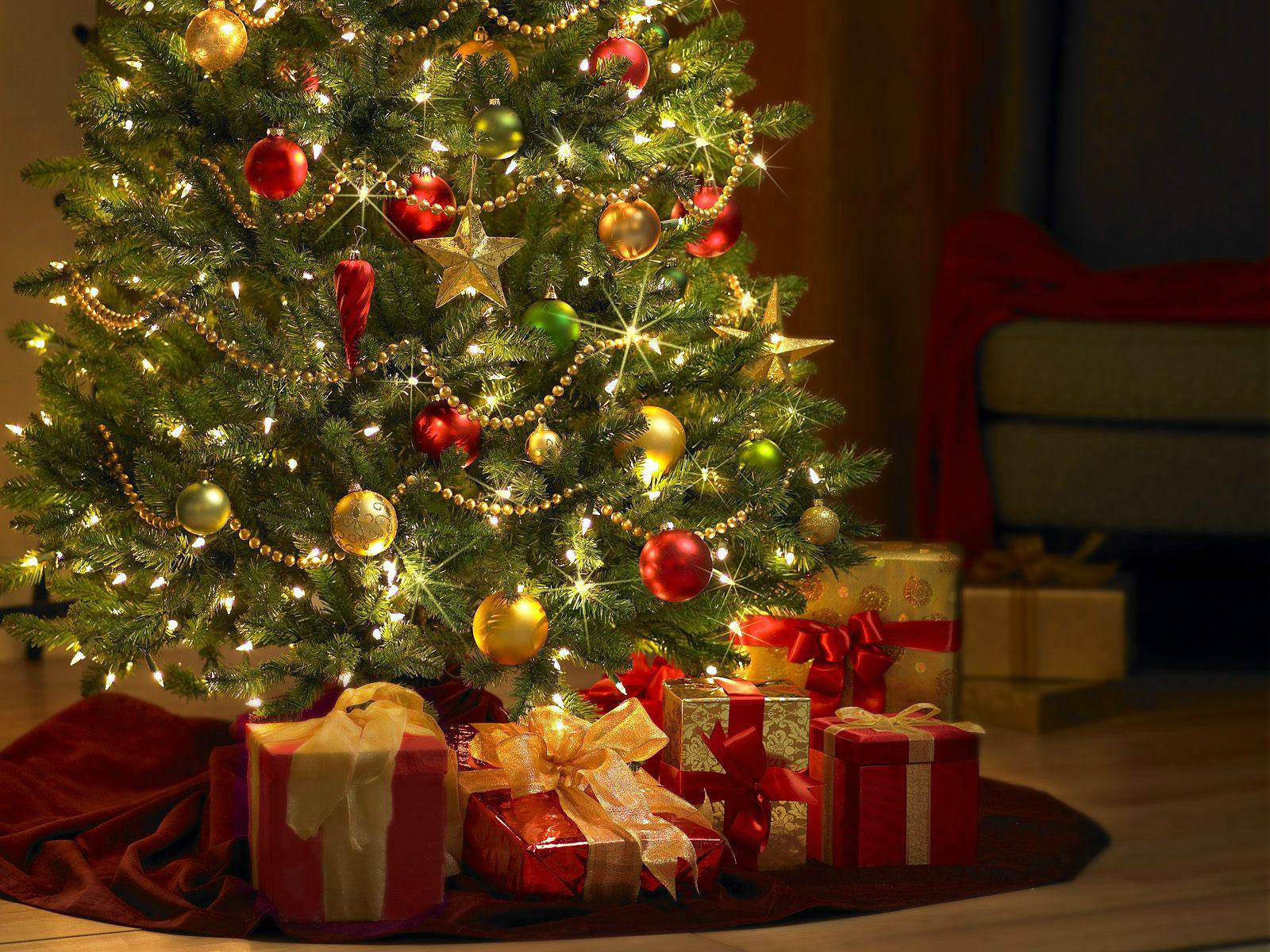 Tradições de Natal - A Árvore de Natal
