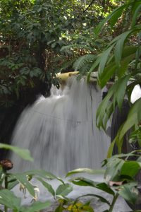 Cachoeira da reserva.
