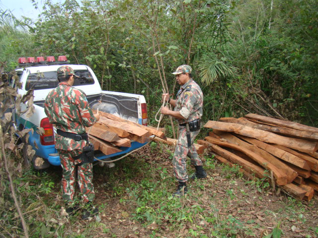 PMA autua assentado por armazenar madeira ilegal