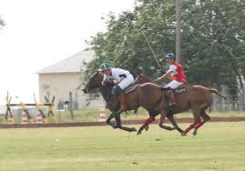 Capital sedia torneio de polo equestre Capital sedia torneio de polo equestre