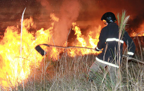 Incêndio atinge fazenda dos bilionários Cutrale em Mato Grosso do Sul