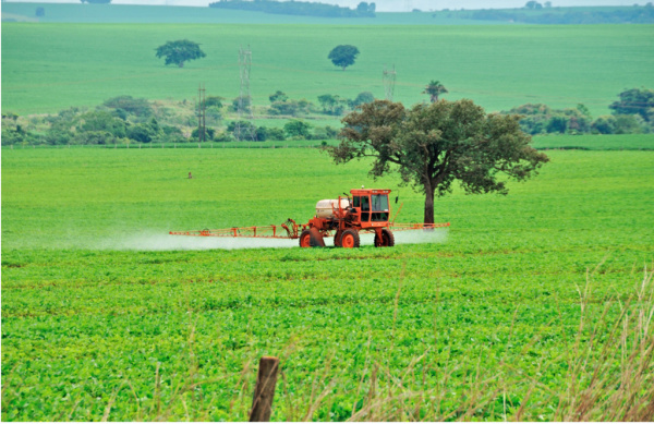 Brasil deve produzir mais de 80 milhões de toneladas de soja
