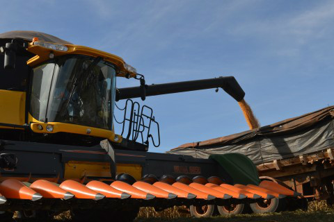 Foto: Assessoria de Imprensa Sistema Famasul