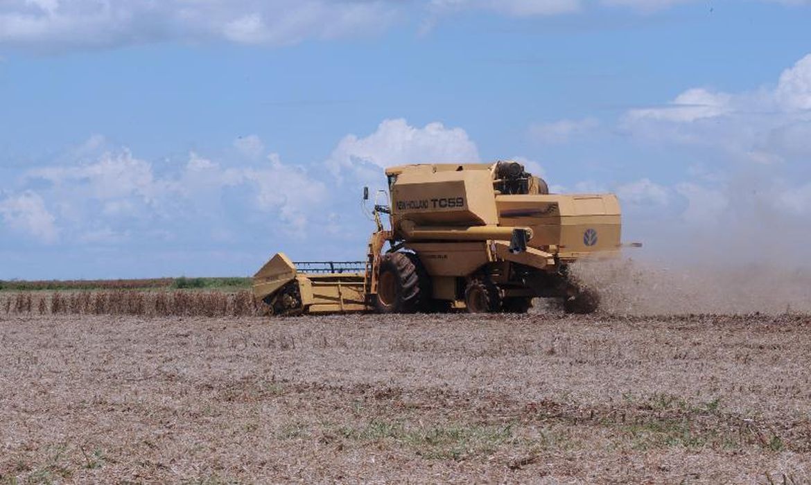 CNA prevê aumento da produção do agronegócio no próximo ano © Arquivo/Agência Brasil