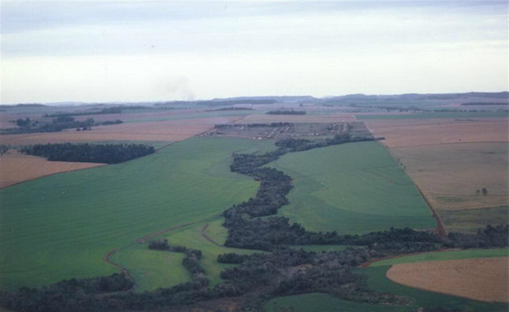 Ministério do Meio Ambiente pode ter apoio de sindicatos para cadastro ambiental