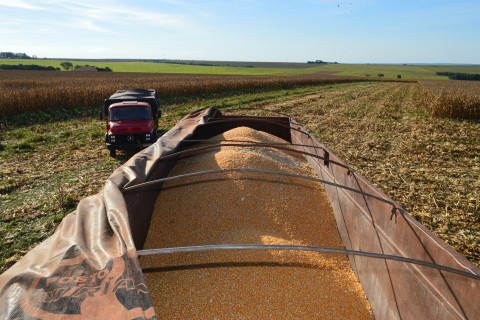 Foto: Assessoria de Imprensa Sistema Famasul