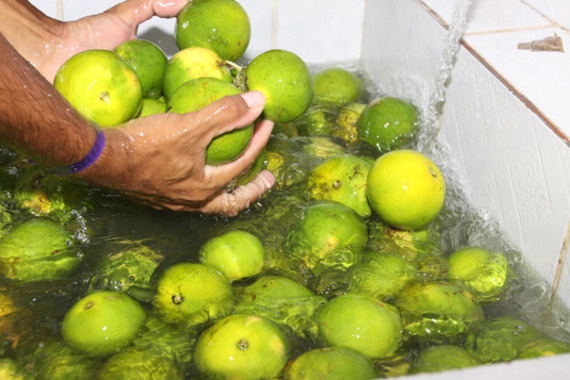 MDA divulga lista com 14 produtos da agricultura familiar que terão bônus MDA divulga lista com 14 produtos da agricultura familiar que terão bônus