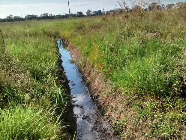 Drenagem de brejo era feita de forma ilegal / Foto: Divulgação