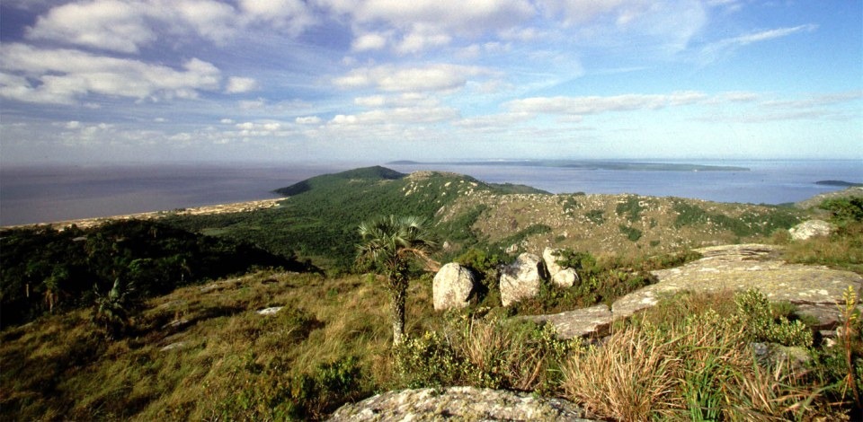 Paisagem dos pampas: bioma possui três mil espécies de plantas, sendo 450 espécies de gramíneas, mais de 150 de leguminosas e 70 tipos de cactos - Foto: Neco Varela/Governo do Rio Grande do Sul