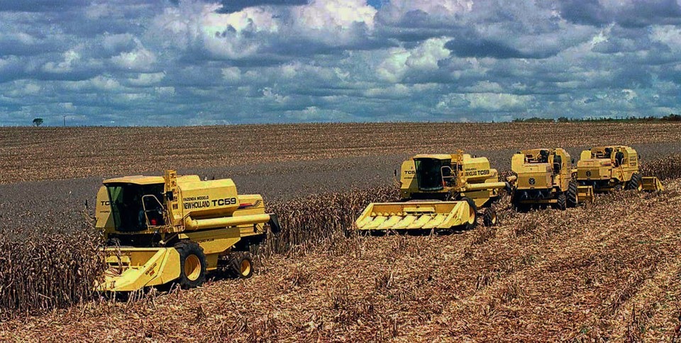 Exportações do agronegócio batem marca de US$ 100,10 bilhões em um ano Vendas de soja em grãos, que alcançaram valor e volume recordes para todos os meses de novembro, registraram no período 5,07 milhões de toneladas - Foto: Nani Gois/Agência Brasil