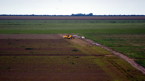 Publicada regras para que estrangeiros adquiram terras no Brasil