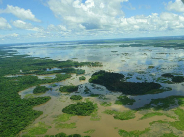 Projeto vai pesquisar uso das árvores para diversificar produção no Pantanal