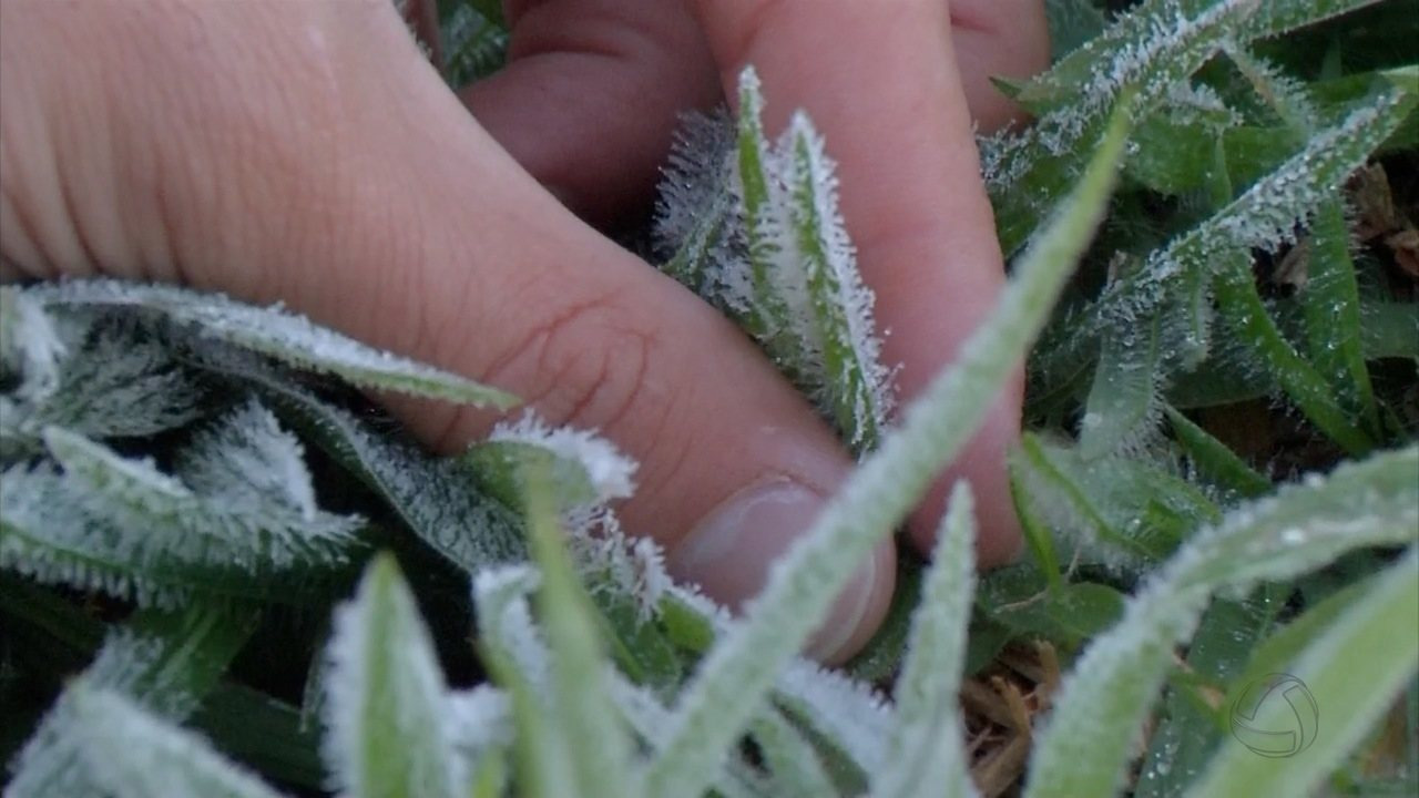 MS registra mínima de 3ºC e geadas, mas temperatura deve subir até 26ºC